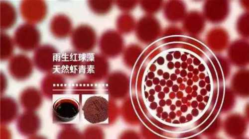 江西省三代试管婴儿供卵生孩子公司如何选择